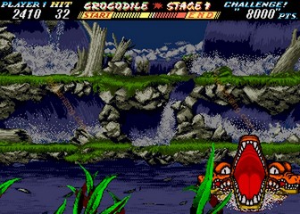 image de The First Funky Fighter